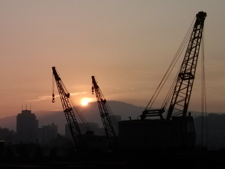 在工作中迎来猴年晨曦